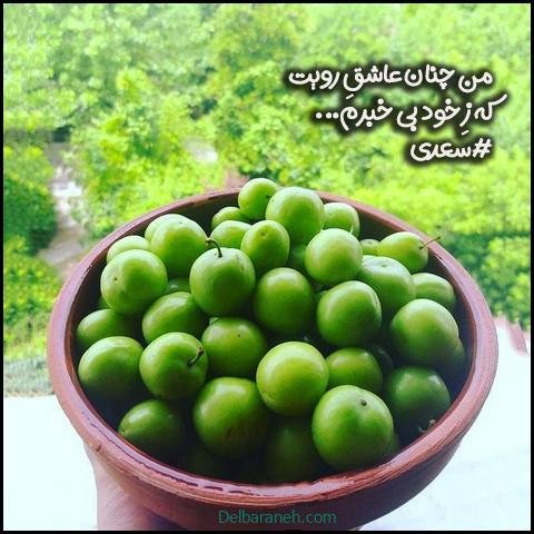  عکس گوجه سبز و توت فرنگی