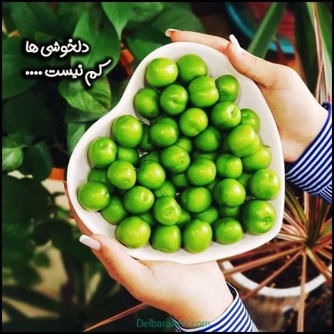  عکس گوجه سبز و توت فرنگی