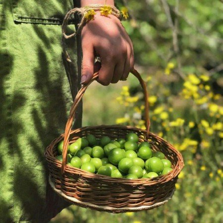  عکس گوجه سبز و توت فرنگی