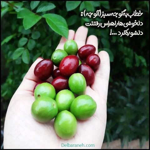  عکس گوجه سبز و توت فرنگی
