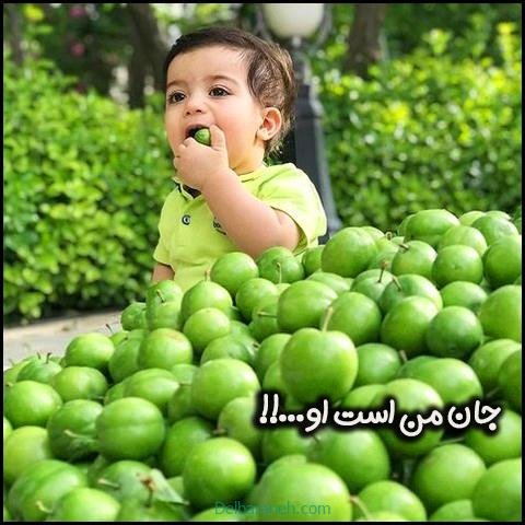  عکس گوجه سبز و توت فرنگی