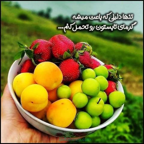  عکس گوجه سبز و توت فرنگی