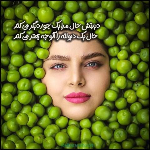 عکس گوجه سبز و توت فرنگی