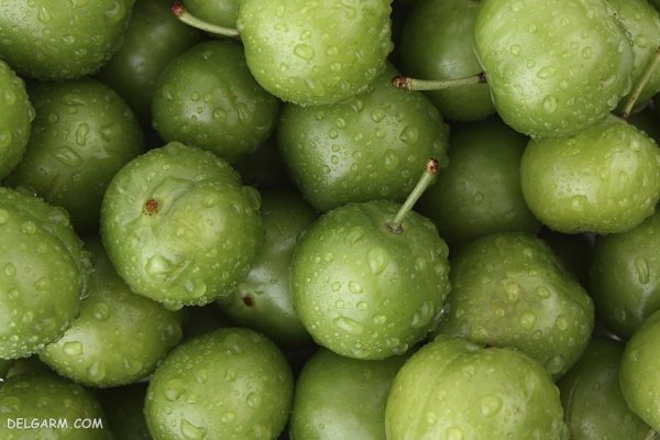  عکس گوجه سبز برای پروفایل