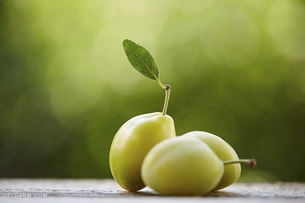  عکس گوجه سبز برای پروفایل