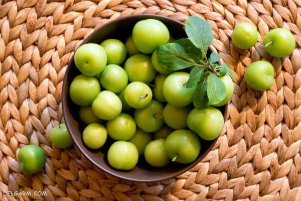  عکس گوجه سبز برای پروفایل