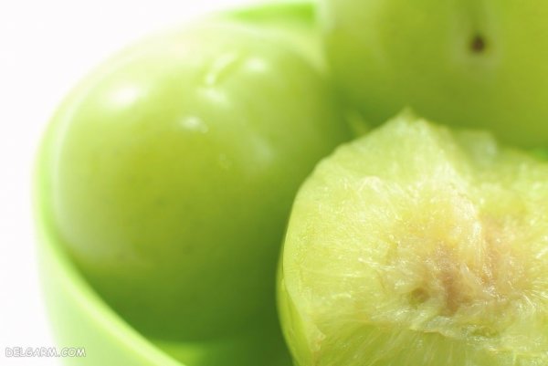  عکس گوجه سبز برای پروفایل