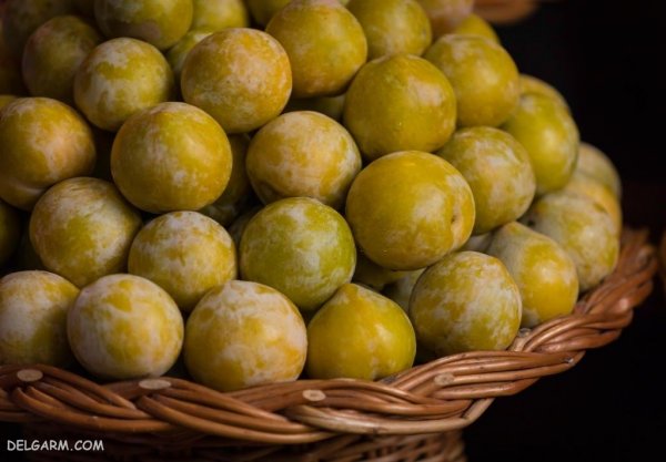  عکس گوجه سبز برای پروفایل