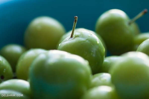  عکس گوجه سبز و چغاله خوشمزه