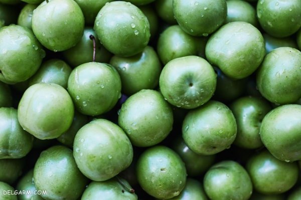  عکس گوجه سبز و چغاله خوشمزه