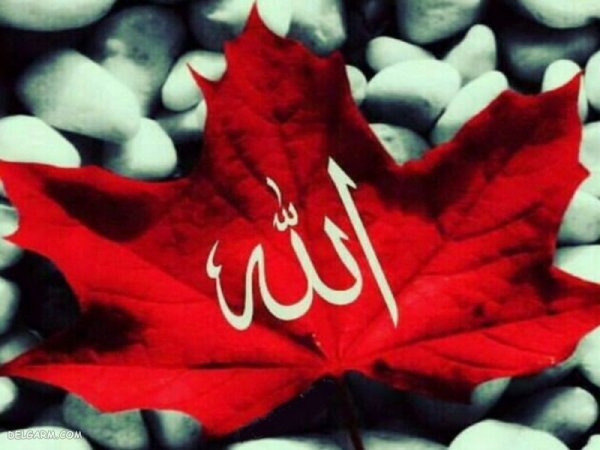  عکس بک گراند خدا برای کامپیوتر