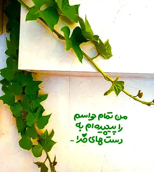  عکس نوشته در مورد خدا پروفایل