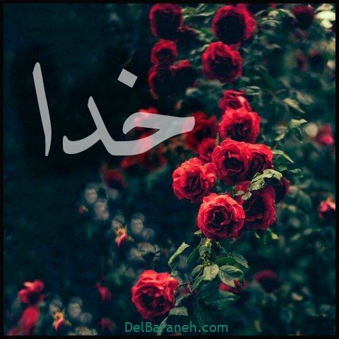  عکس اسم خدا برای استوری