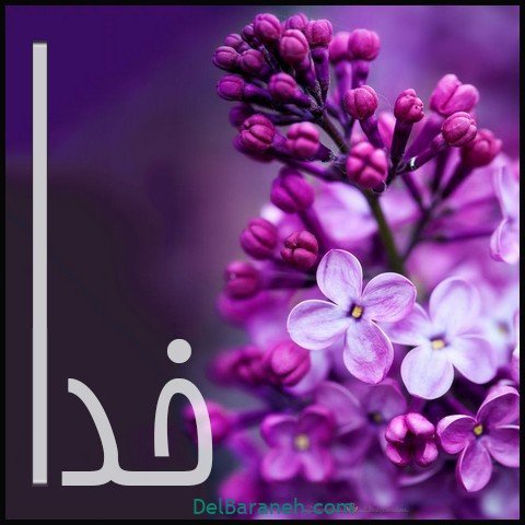  عکس اسم خدا برای استوری