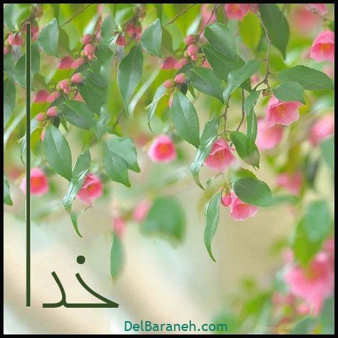  عکس اسم خدا برای استوری