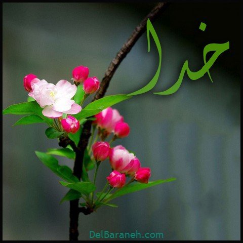  عکس اسم خدا برای استوری