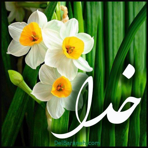  عکس اسم خدا برای استوری