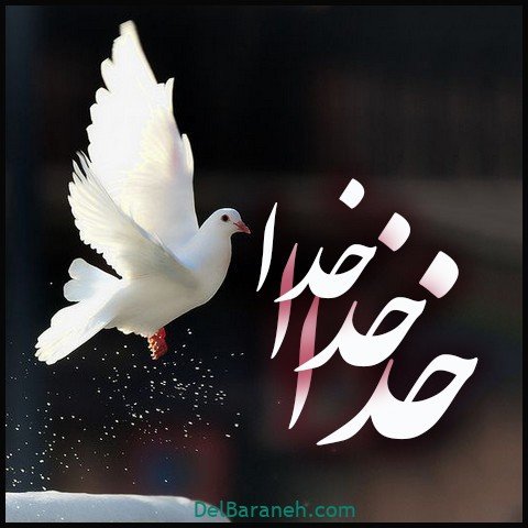  عکس اسم خدا برای استوری