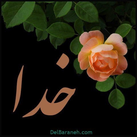  عکس اسم خدا برای استوری