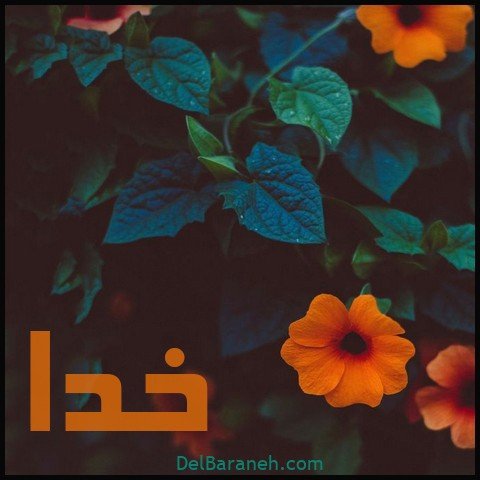  عکس اسم خدا برای استوری