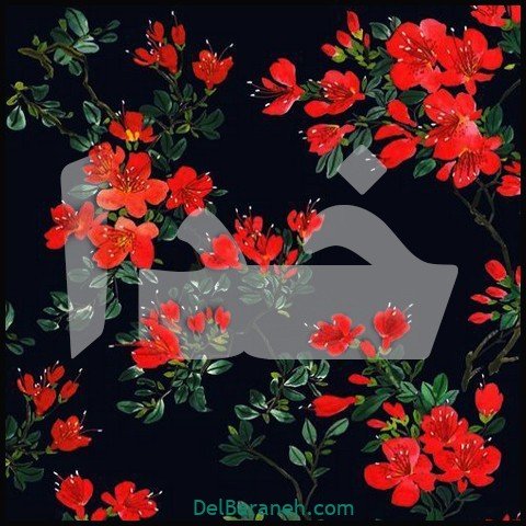  عکس اسم خدا برای استوری