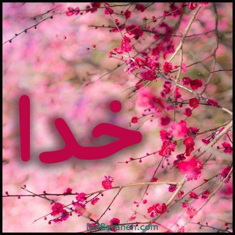  عکس اسم خدا برای استوری