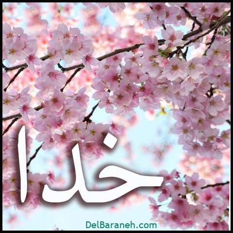  عکس اسم خدا برای استوری