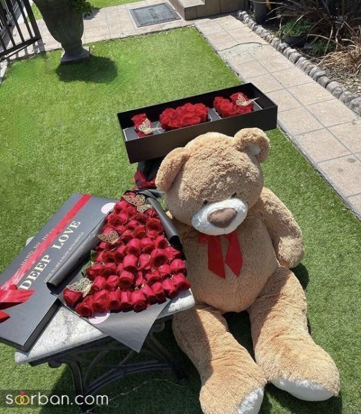  عکس از زندگی های لاکچری