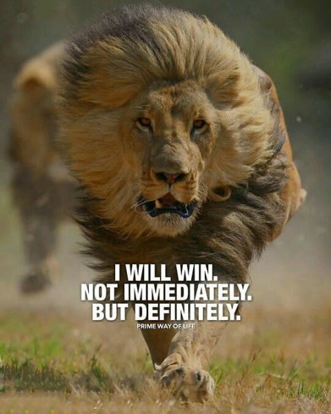  عکس نوشته لاکچری برای استوری