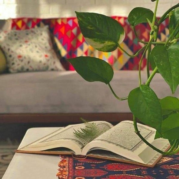  عکس استوری خفن بدون متن