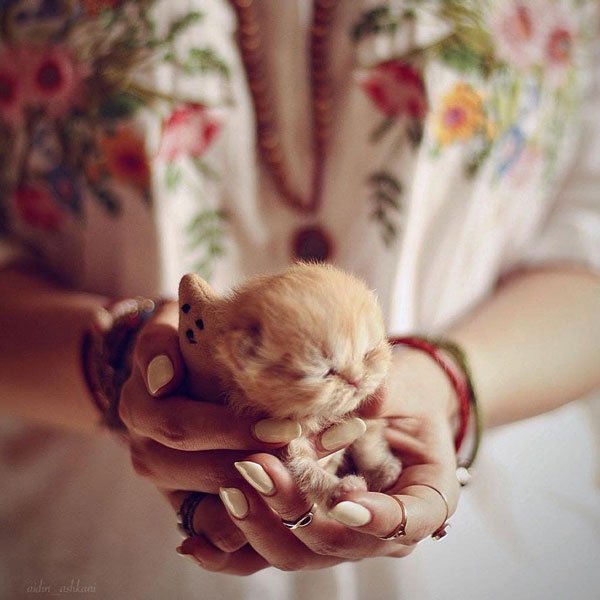  عکس استوری خفن بدون متن