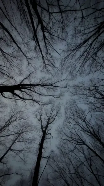  عکس لاکچری ترند امسال 2026