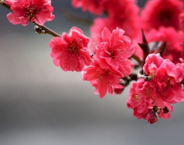  عکس لاکچری برای پروفایل واتساپ و تلگرام