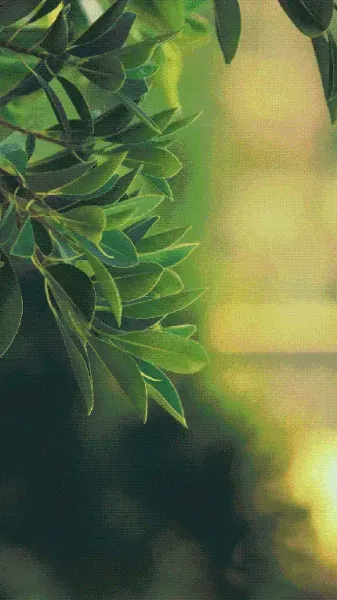  عکس پس‌زمینه موبایل اندروید