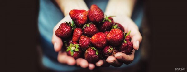  عکس از سبک زندگی