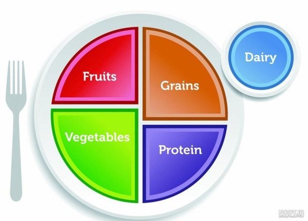  عکس از سبک زندگی