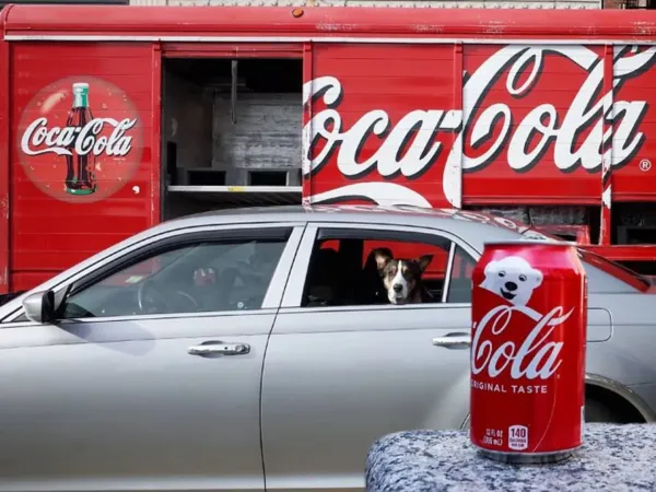  عکس های روزمره واقعی