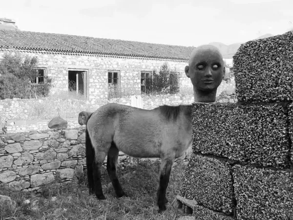  عکس های روزمره واقعی