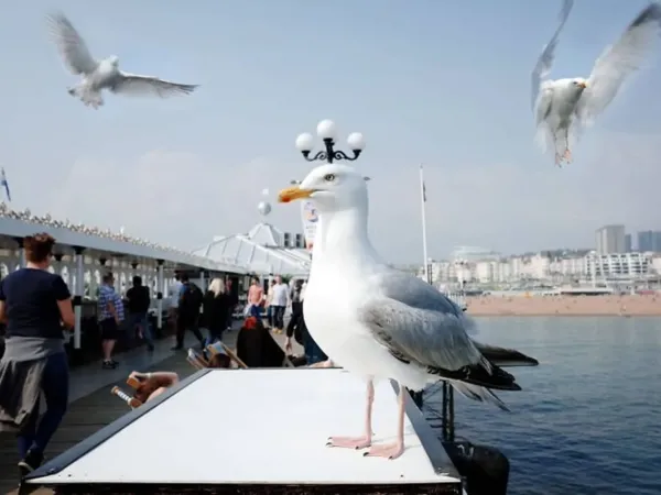  عکس های روزمره واقعی