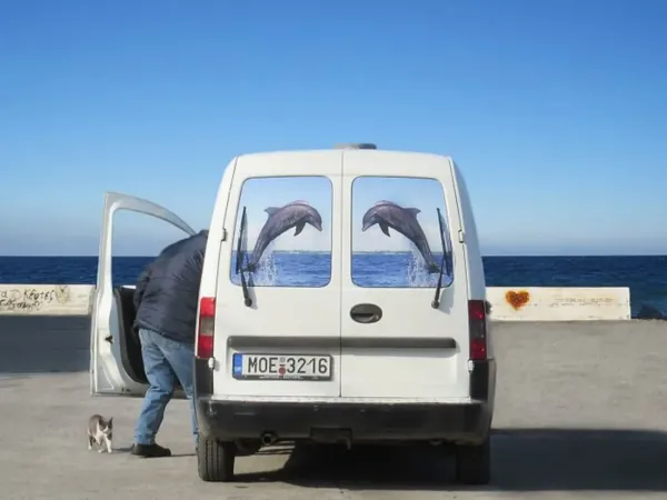  عکس های روزمره واقعی