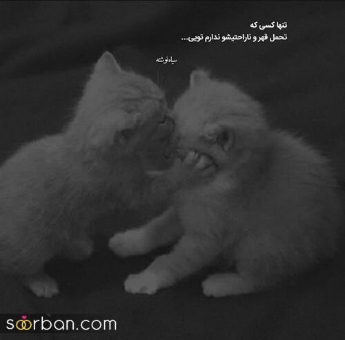 عکس پروفایل دلتنگی شدید