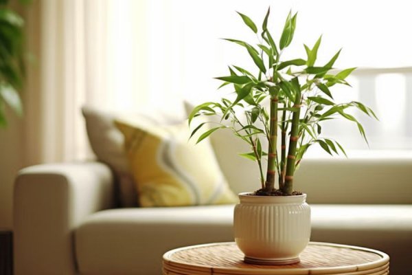 عکس انواع گل طبیعی