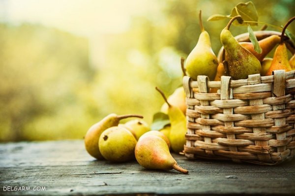  تصاویر گلابی بیروتی