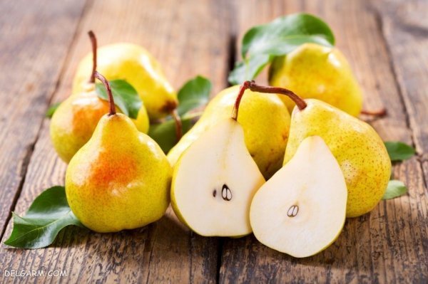  تصاویر گلابی بیروتی
