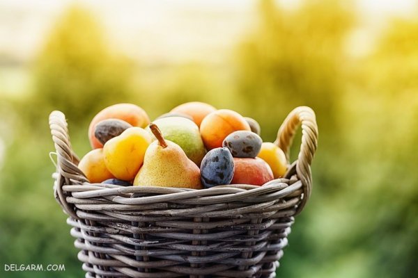  تصاویر گلابی بیروتی