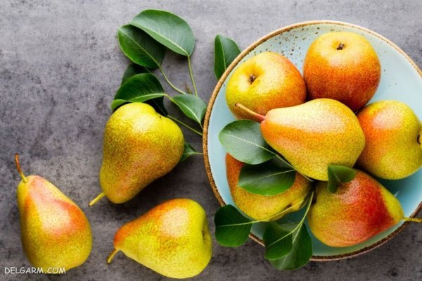  تصاویر گلابی بیروتی