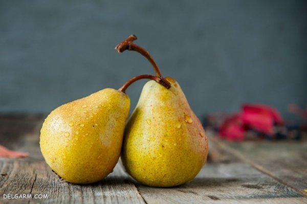  تصاویر گلابی بیروتی