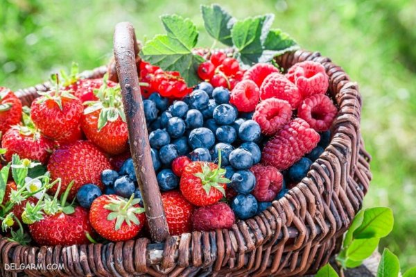  عکس از توت فرنگی با کیفیت بالا