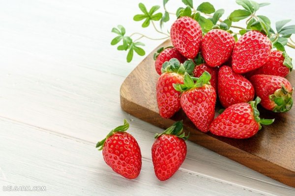  عکس از توت فرنگی با کیفیت بالا