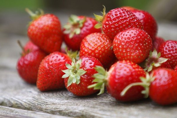  عکس توت فرنگی برای بک گراند با کیفیت بالا